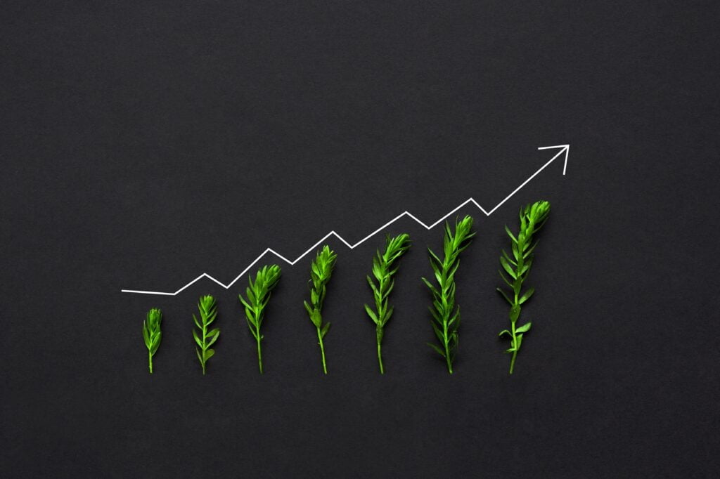 About Us 1 Building A Successful Online Coaching Business